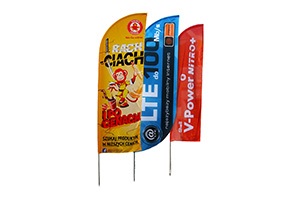 BeachFlag 
